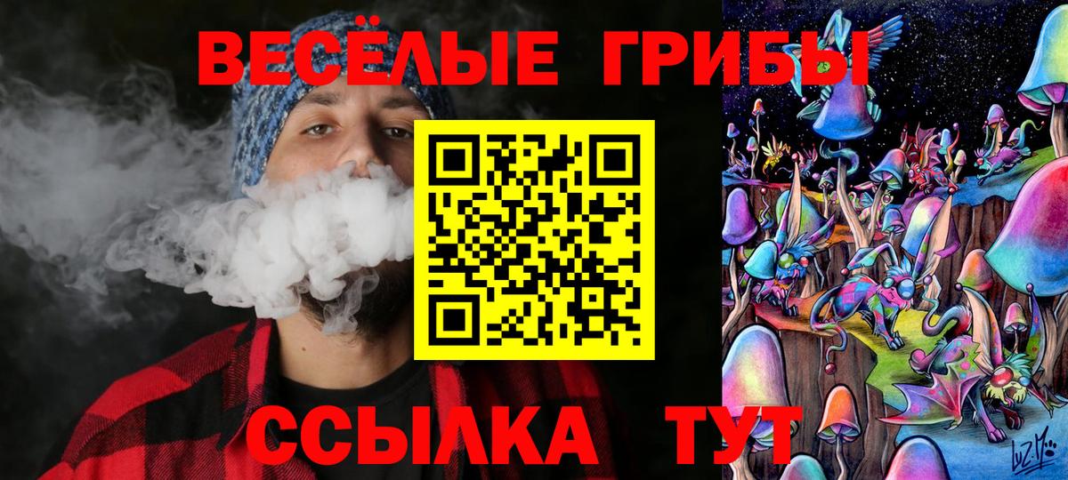 Алейск  Псилоцибиновые грибы мицелий  Вход с VPN 